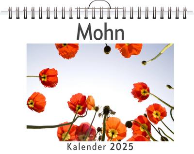 Schneider, E: Mohn