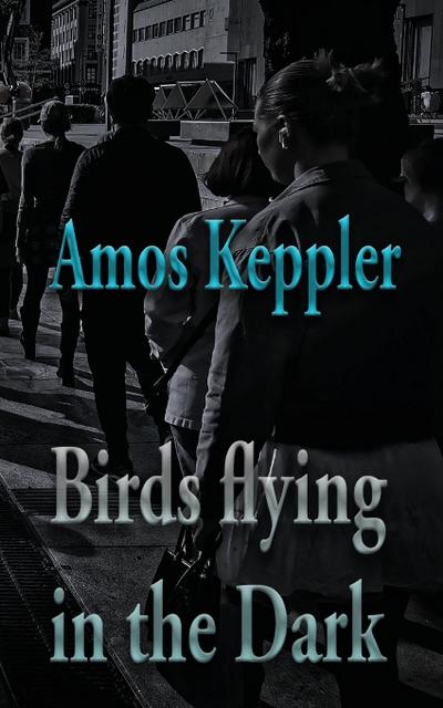 Birds Flying in the Dark