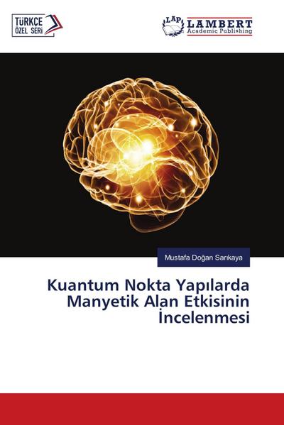 Kuantum Nokta Yap¿larda Manyetik Alan Etkisinin ¿ncelenmesi