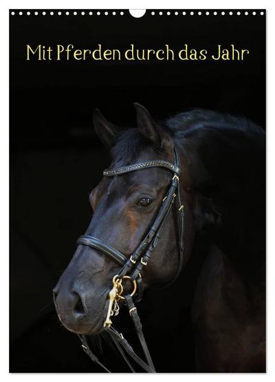 Mit Pferden durch das Jahr (Wandkalender 2026 DIN A3 hoch), CALVENDO Monatskalender