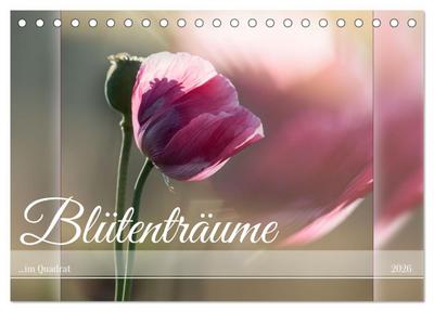 Blütenträume - im Quadrat (Tischkalender 2026 DIN A5 quer), CALVENDO Monatskalender