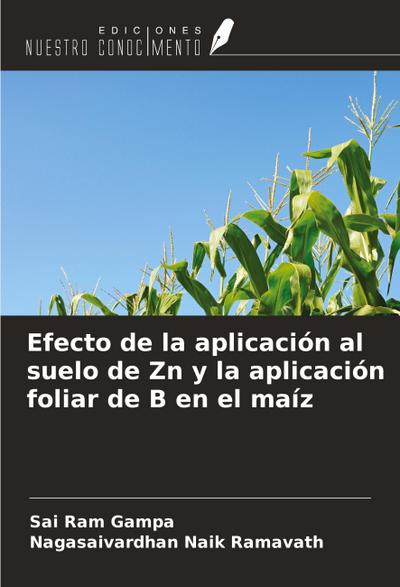 Efecto de la aplicación al suelo de Zn y la aplicación foliar de B en el maíz