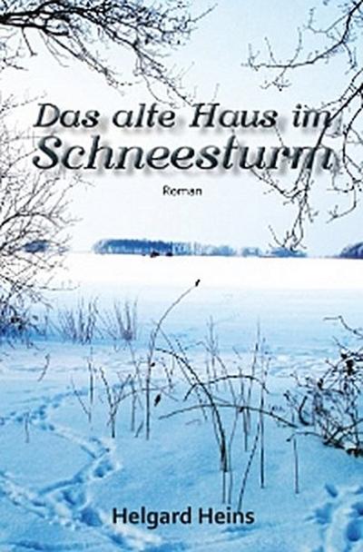 Das alte Haus im Schneesturm