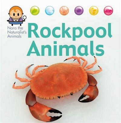 Nora the Naturalist’s Animals: Rock Pool Animals