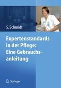Expertenstandards in der Pflege: Eine Gebrauchsanl