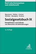 Sozialgesetzbuch IX. SGB IX
