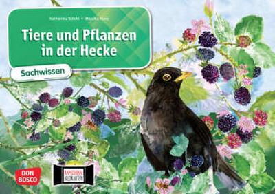 Tiere und Pflanzen in der Hecke. Kamishibai Bildkartenset