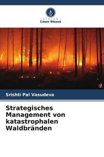 Strategisches Management von katastrophalen Waldbränden