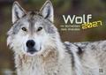 Wolf - Im Schatten des Waldes 2027