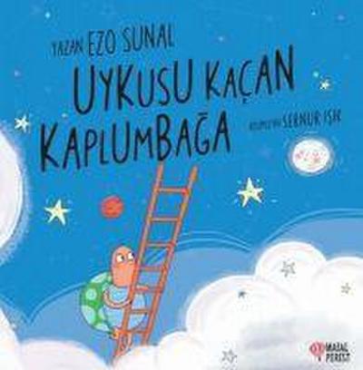 Uykusu Kacan Kaplumbaga