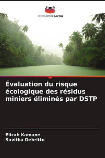 Évaluation du risque écologique des résidus miniers éliminés par DSTP