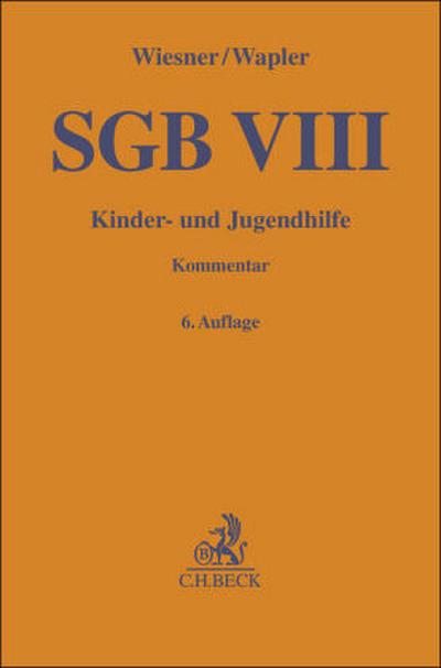 SGB VIII