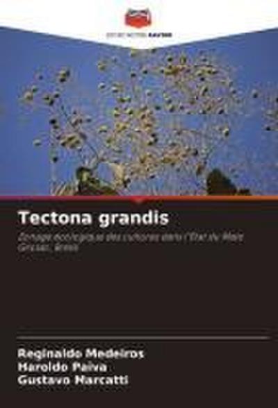 There’s a Whole in the Sky