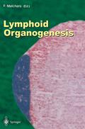 Lymphoid Organogenesis