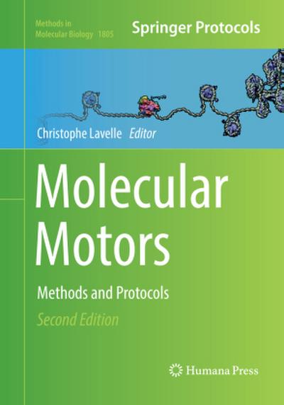 Molecular Motors