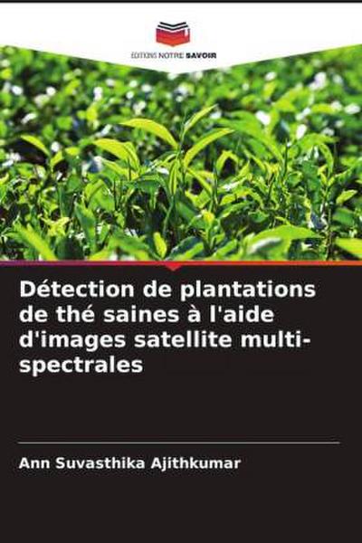 Détection de plantations de thé saines à l’aide d’images satellite multi-spectrales