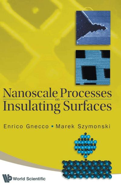 NANOSCALE PROCESSES ON INSULATING...