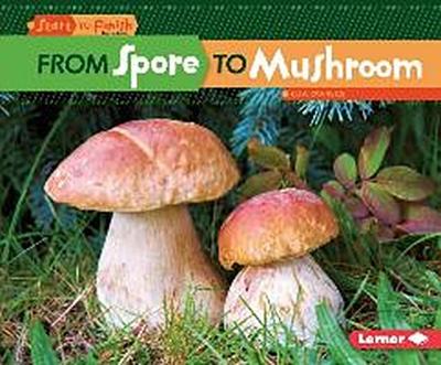 From Spore to Mushroom