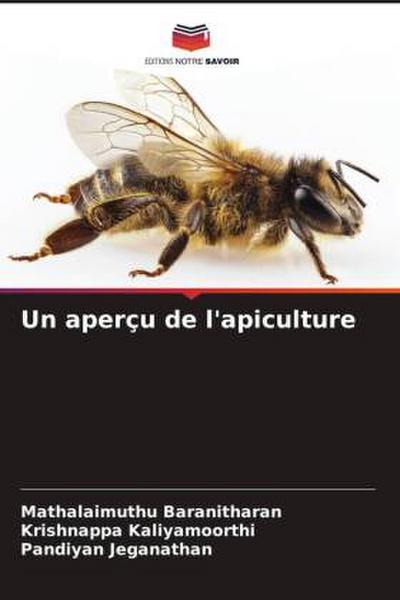 Un aperçu de l’apiculture