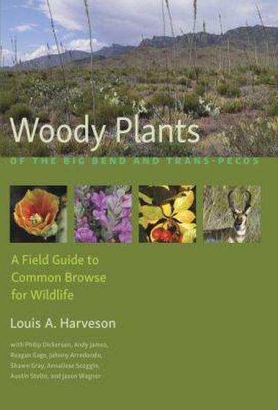 Woody Plants of the Big Bend and Trans-Pecos