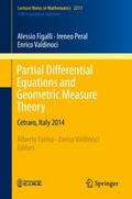 Partial Differential Equations and Geometric Measu
