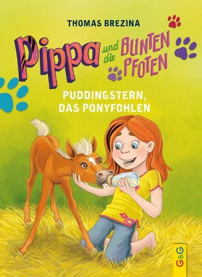 Puddingstern, das Ponyfohlen