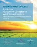Finding Firmer Ground