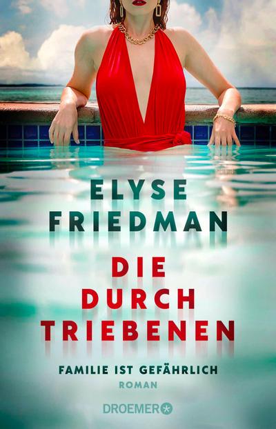 Die Durchtriebenen (eBook, EPUB) - Elyse Friedman