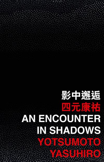 Encounter in Shadows