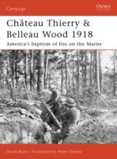 Ch teau Thierry & Belleau Wood 1918