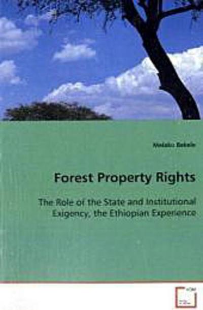 Forest Property Rights