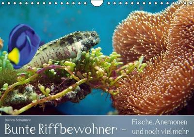 Bunte Riffbewohner - Fische, Anemonen und noch viel mehr (Wandkalender immerwährend DIN A4 quer)