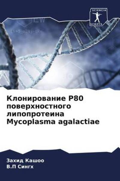 Klonirowanie P80 powerhnostnogo lipoproteina Mycoplasma agalactiae