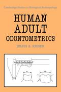 Human Adult Odontometrics