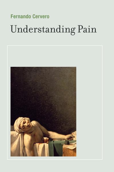 Understanding Pain