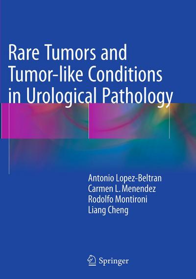 Rare Tumors and Tumor-like Conditions in Urological Pathology