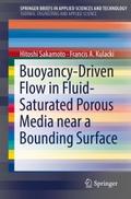 Buoyancy-Driven Flow in Fluid-Saturated Porous Med