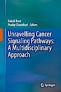 Unravelling Cancer Signaling Pathways: A Multidisciplinary Approach