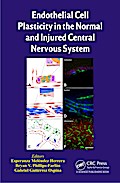 Endothelial Cell Plasticity in the Normal and Injured Central Nervous System