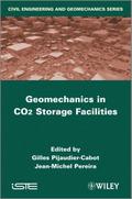 Geomechanics in CO2 Storage Facilities