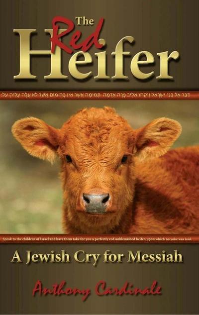 Red Heifer