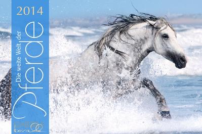 Boiselle,G: Weite Welt der Pferde Panorama 2014