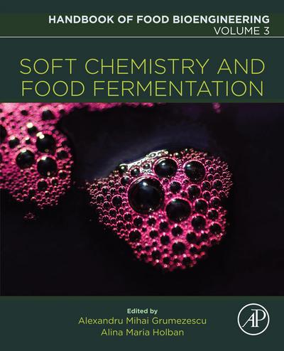 Soft Chemistry and Food Fermentation