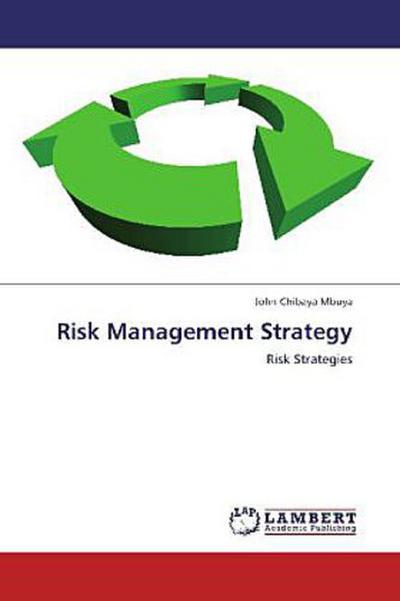 Risk Management Strategy