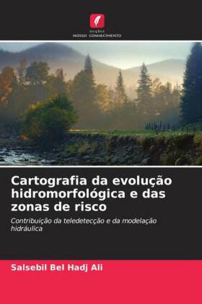 Cartografia da evolução hidromorfológica e das zonas de risco