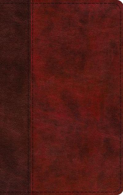 ESV Large Print Thinline Bible, Red Letter (Trutone, Burgundy/Red, Timeless Design)