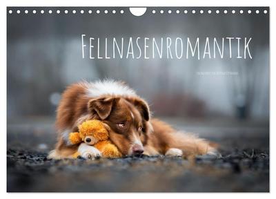 Fellnasenromantik (Wandkalender 2026 DIN A4 quer), CALVENDO Monatskalender