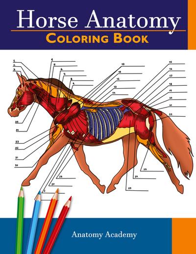 Horse Anatomy Coloring Book