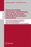 Intravascular Imaging and Computer Assisted Stenti