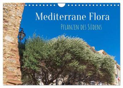 Mediterrane Flora - Pflanzen des Südens (Wandkalender 2026 DIN A4 quer), CALVENDO Monatskalender